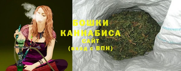 спайс Покачи