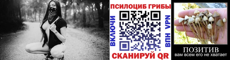 Псилоцибиновые грибы прущие грибы  что такое наркотик  Анжеро-Судженск 